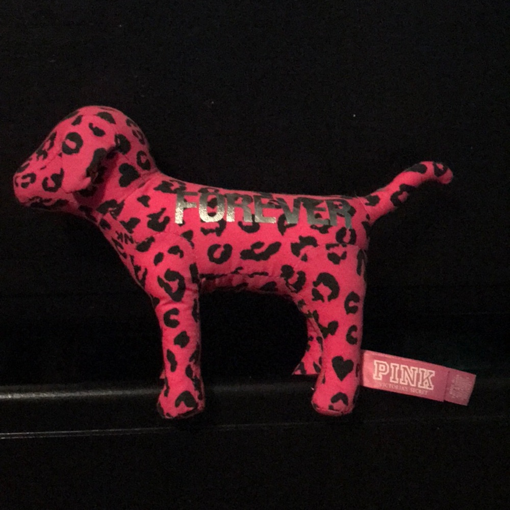 Mini vs PINK dog